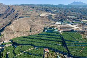 Podere - Guía de Isora (2)