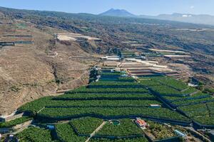 Podere - Guía de Isora (3)