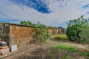 Domain - San Miguel (2)