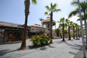 Бизнес - Playa de Las Américas - Centro Comercial Oasis (3)