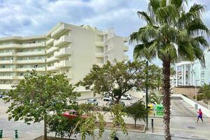 Business - Torviscas Bajo - Parque Royale (2)
