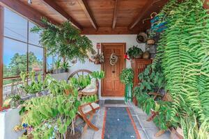 Maison de 4 chambres - Icod de Los Vinos (1)