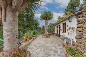 Maison de 4 chambres - Icod de Los Vinos (2)