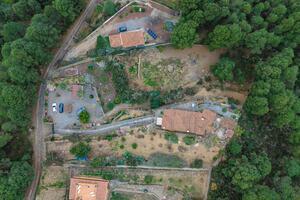 Maison de 4 chambres - Icod de Los Vinos (2)