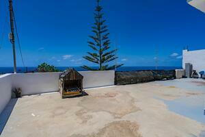 Finca - Tejina (2)