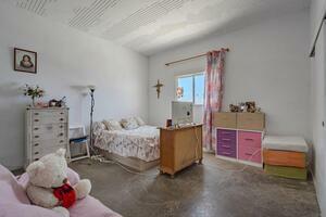 Finca - Tejina (3)