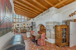 6 slaapkamers Villa - Villa de Arico (1)