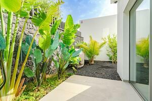 Luxury 4 Bedroom Villa - Callao Salvaje (1)
