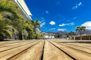 Wohnung mit 2 Schlafzimmern - La Caleta - Caleta Palms (0)