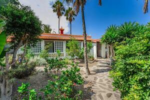 Finca de 3 dormitorios - Icod de Los Vinos (0)