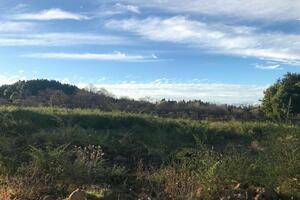 Podere - La Matanza de Acentejo (0)