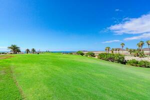 2 slaapkamers Appartement - Amarilla Golf - Palm Gardens (0)