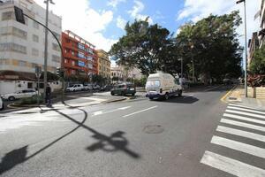 Negozio  - Santa Cruz (2)