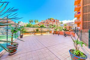 Studio - Puerto de la Cruz (0)