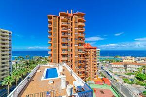 Studio - Puerto de la Cruz (0)