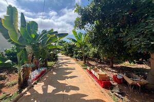 Landshof - Santiago del Teide (2)