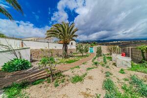 Estate - Granadilla de Abona (0)