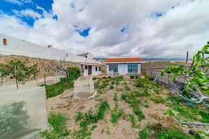 Estate - Granadilla de Abona (1)