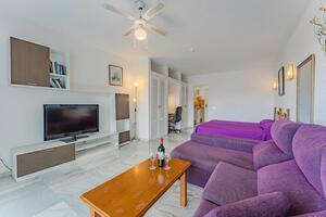 27 Bedroom Hotel - San Eugenio Alto - Florida Park (3)
