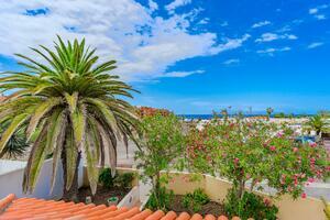 Villa mit 2 Schlafzimmern - Palm Mar (3)