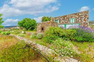 2 slaapkamers Villa - Torviscas Alto (3)