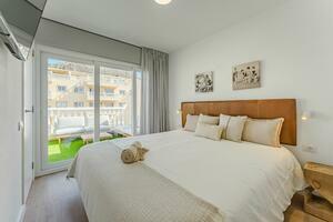 3 Bedroom Penthouse - Palm Mar (2)