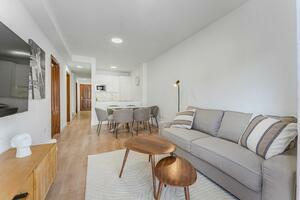 3 Bedroom Penthouse - Palm Mar (2)