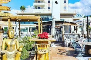 Business - Playa Paraíso (1)