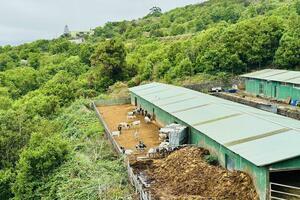 Business - Garachico (0)