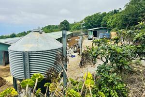 Business - Garachico (2)