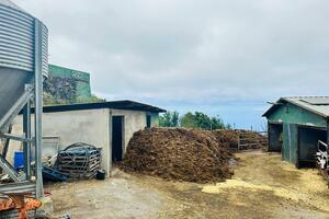 Business - Garachico (3)