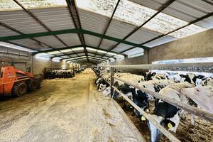 Business - Garachico (0)