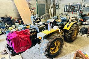 Business - Garachico (1)