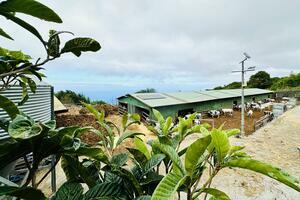 Business - Garachico (0)