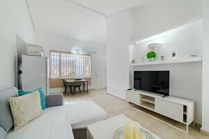 1 Bedroom Penthouse - El Madroñal - Villas Canarias (1)