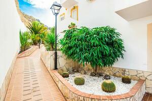 1 Bedroom Penthouse - Roque del Conde - Balcón del Atlántico (0)