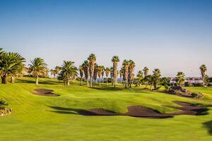 1 Bedroom Penthouse - Golf del Sur - Park Albatros (3)