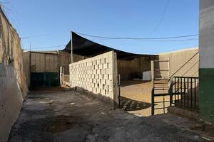 Domain - Las Galletas (3)