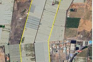 Domain - Las Galletas (1)