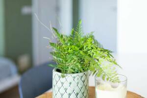 Studio - Playa Paraíso - Paraiso del Sur (1)