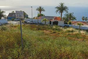 Land - El Sauzal (3)