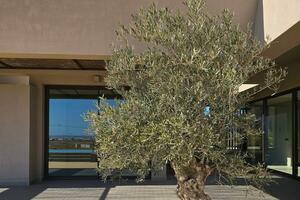 4 Bedroom Villa - Fuerteventura (1)