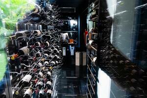 Villa mit 4 Schlafzimmern - El Madroñal (1)