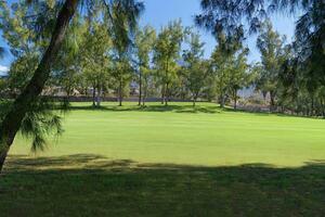 1 Bedroom Bungalow - Playa de Las Américas - Green Garden Resort (0)