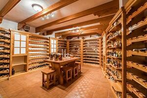 Villa mit 8 Schlafzimmern - Santa Cruz (3)