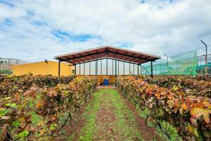 Villa mit 2 Schlafzimmern - Valle Guerra (0)