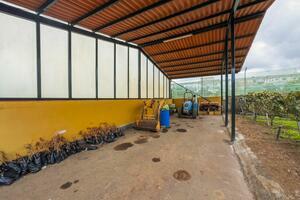 Villa mit 2 Schlafzimmern - Valle Guerra (1)