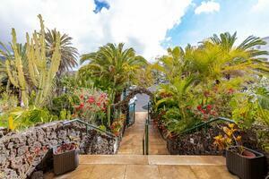 27 Bedroom Building - Chayofa (1)