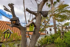 27 Bedroom Building - Chayofa (0)