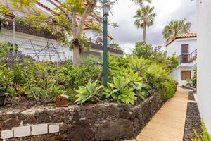 27 Bedroom Building - Chayofa (2)